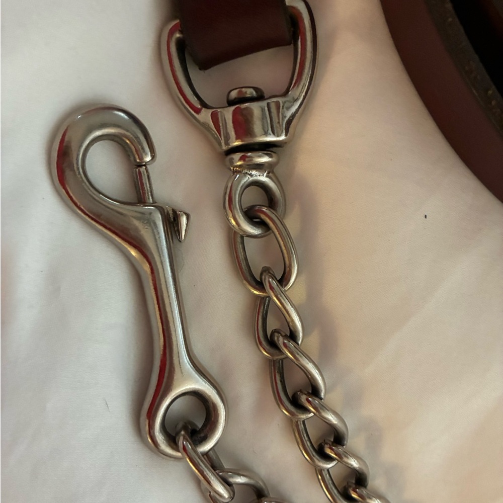 Premium Leather Showmanship Halter Equestrian Lead for Showing or Everyday Use - Picture 4 of 6